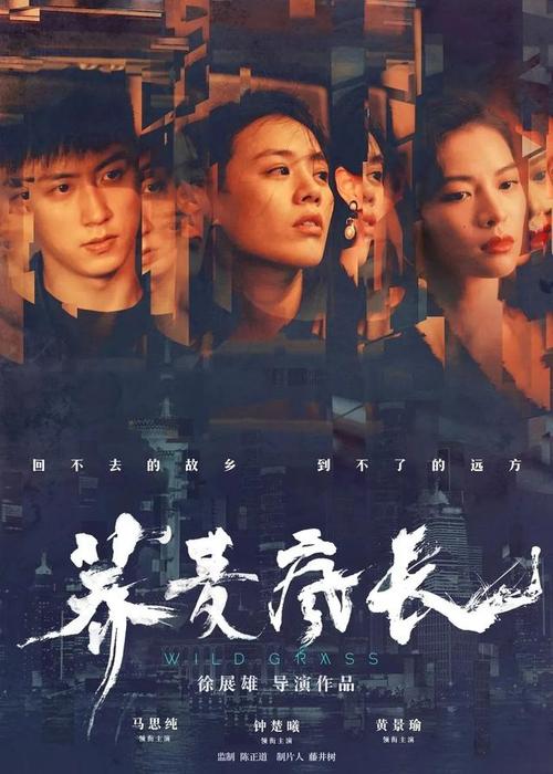 爱铥铁克学院设计学位证